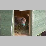 p1010186 [800x600].jpg